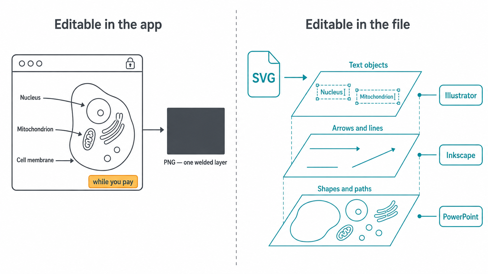 Diagram comparing a figure that stays editable inside a subscription app with a figure whose exported SVG file carries separable text and paths